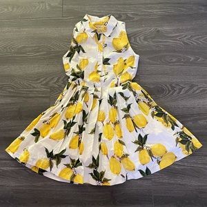 New Eleanor Lemon Hearts and Found, pleated button front shirt dress